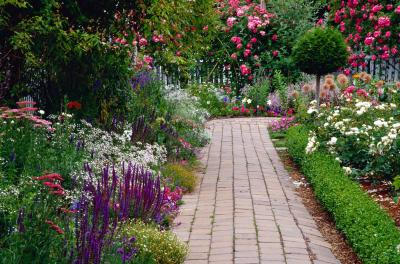 Suffolk Landscape Gardeners